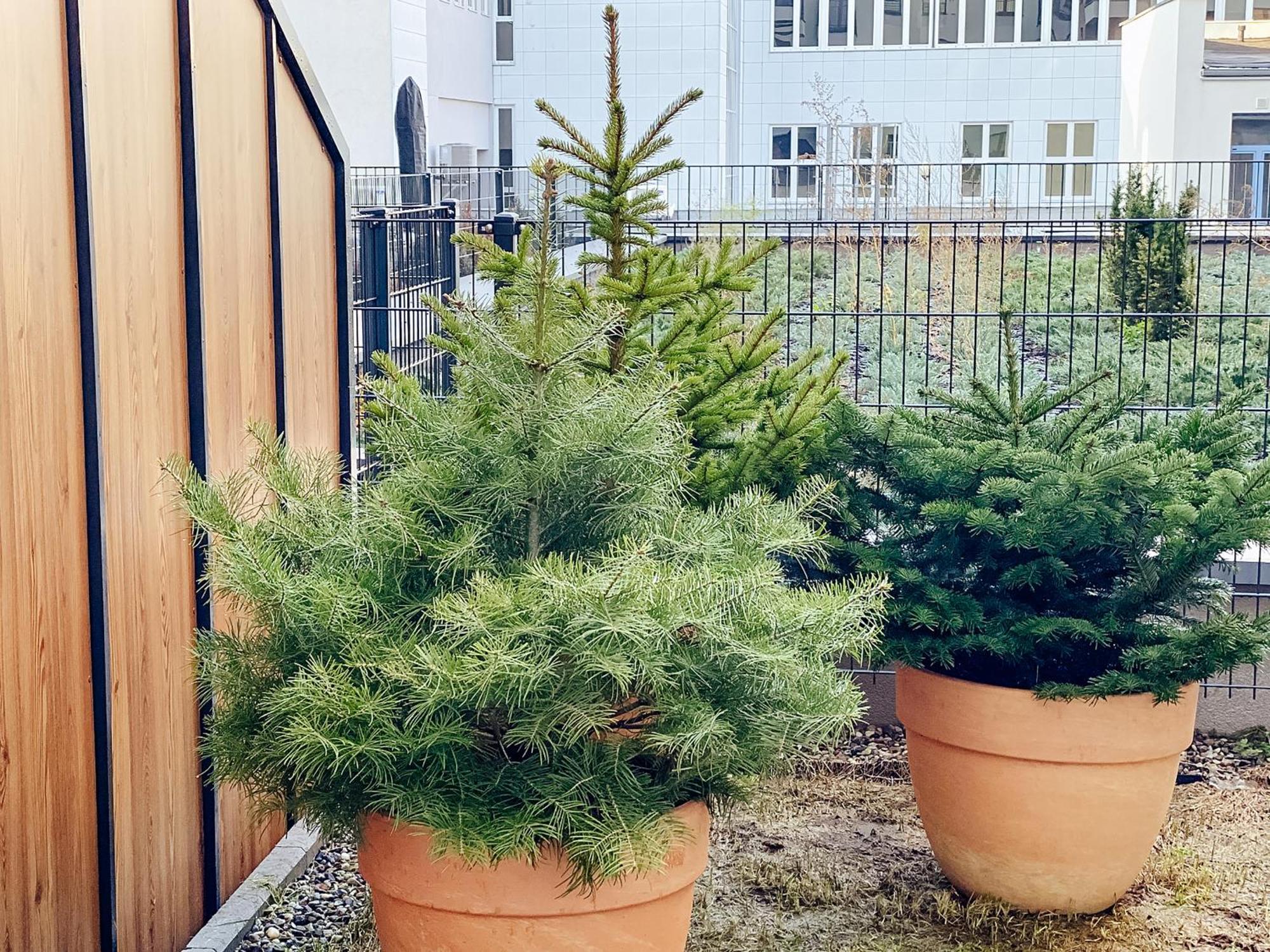 One Apartamenty Gasiorowskich 4 Poznan Dış mekan fotoğraf